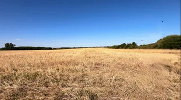 Chacra de 5has en Venta en San Pedro - Colonia