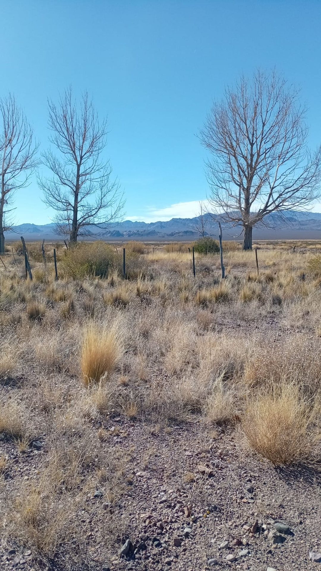 TERRENO EN VENTA – SAN ALBERTO, USPALLATA, MENDOZA