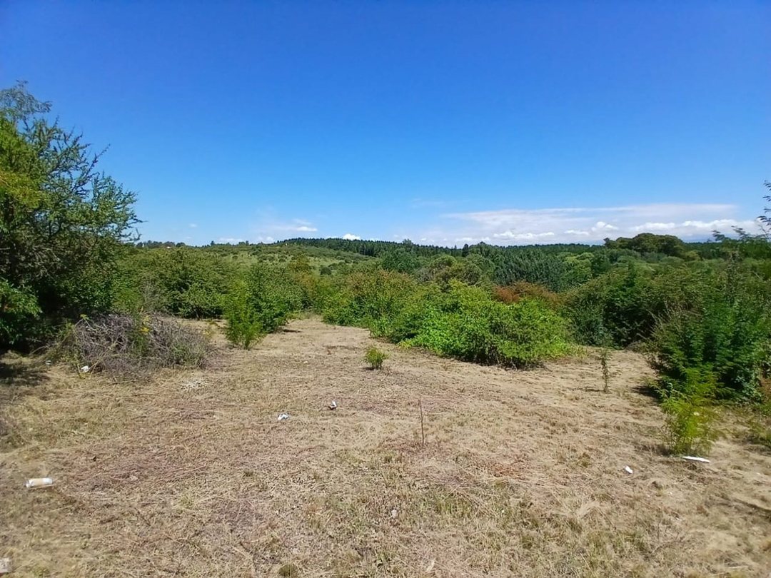 VENTA TERRENO 554 M2. CAPILLA VIEJA. LOS REARTES