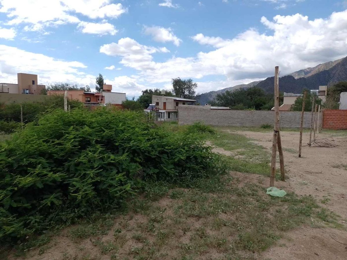 TERRENOS VENTA 300 MT2 PASEO LAS VIÑAS CAFAYATE - foto 9