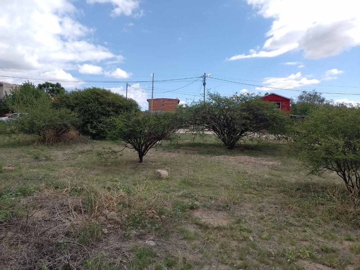 TERRENOS VENTA 300 MT2 PASEO LAS VIÑAS CAFAYATE - foto 5
