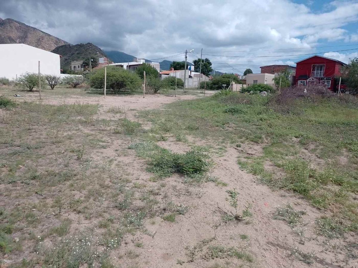 TERRENOS VENTA 300 MT2 PASEO LAS VIÑAS CAFAYATE - foto 3