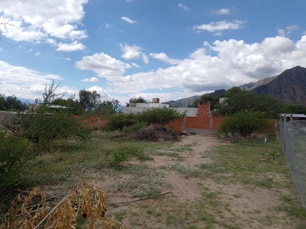 TERRENOS VENTA 300 MT2 PASEO LAS VIÑAS CAFAYATE - foto 7