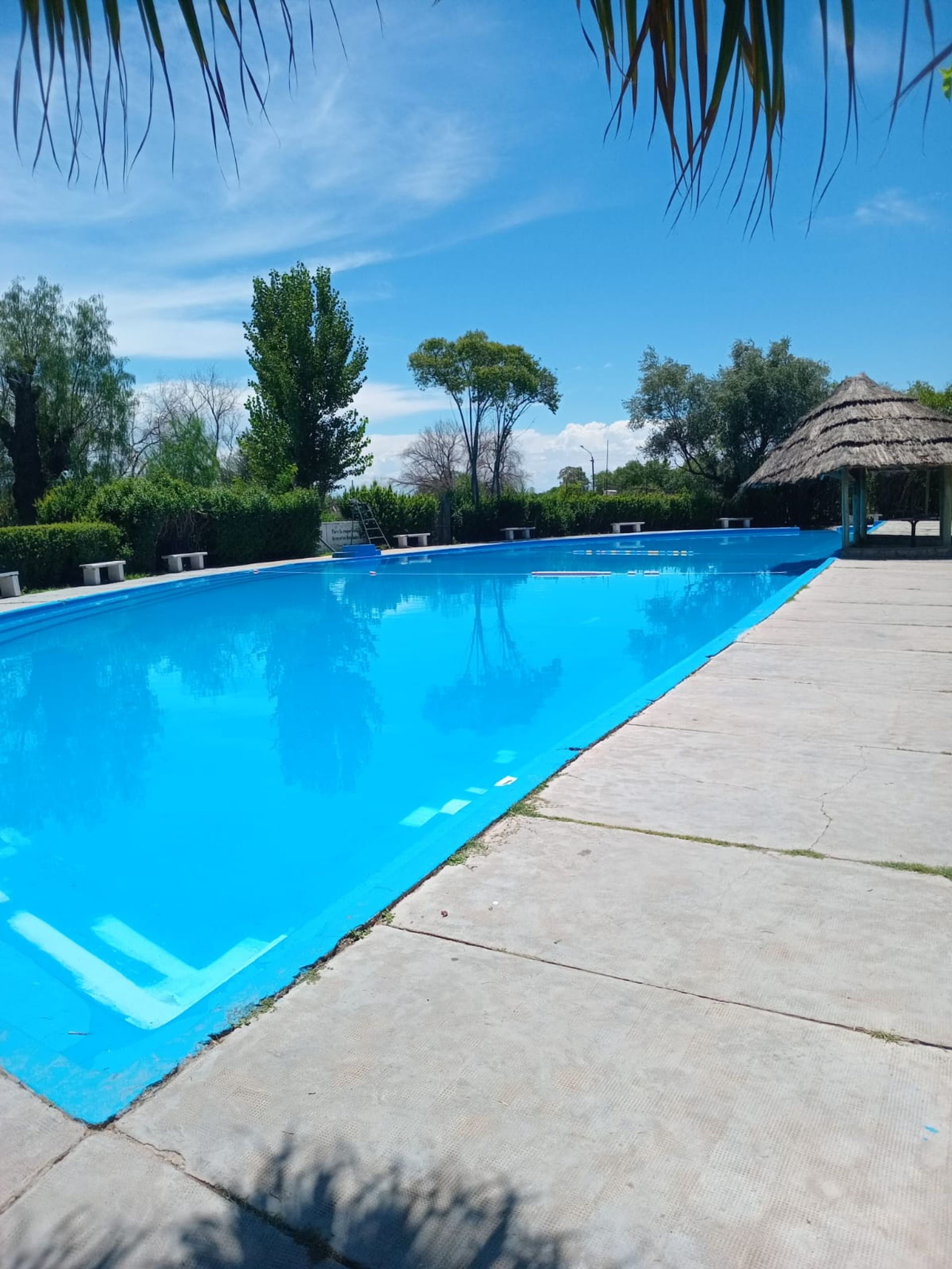 Imagen 8