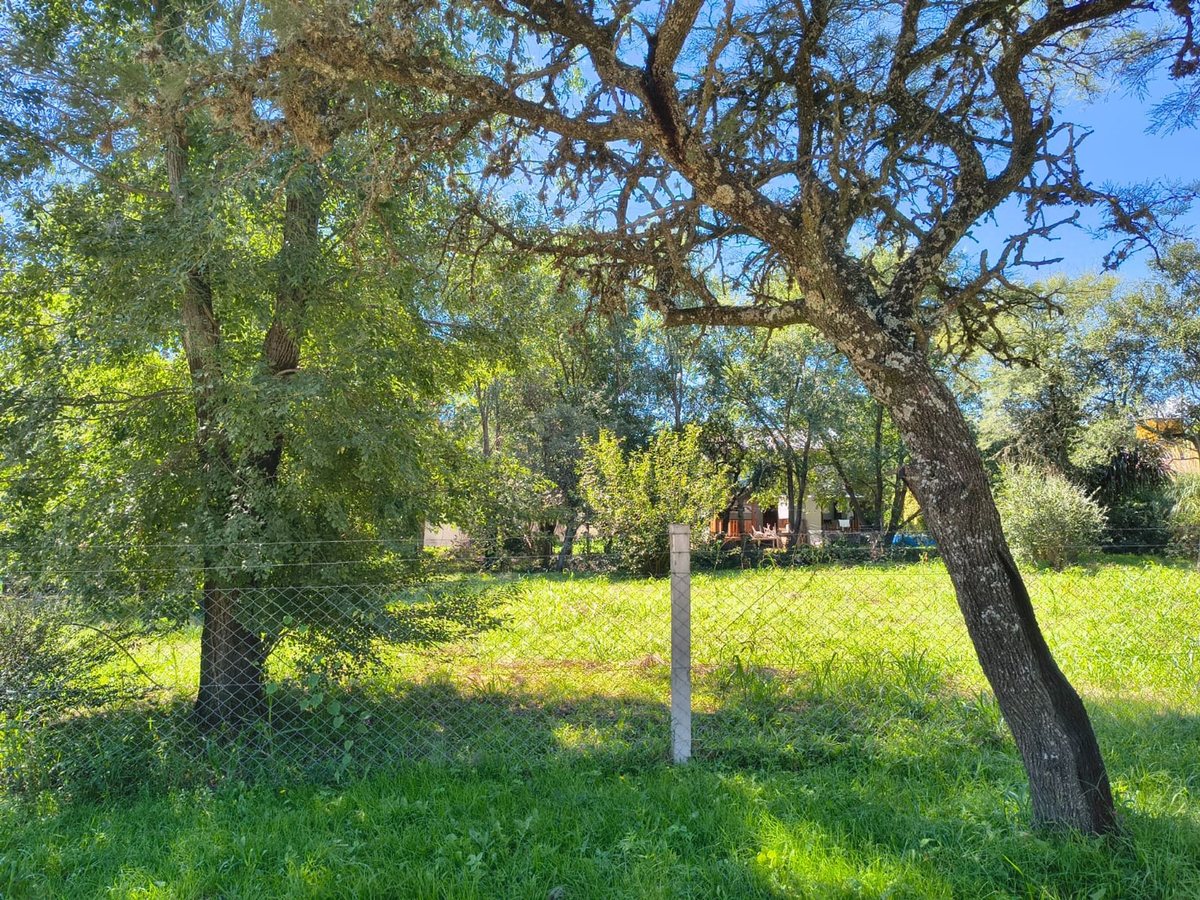Foto 5 — Venta de terreno 424m Villa General Belgrano Cba