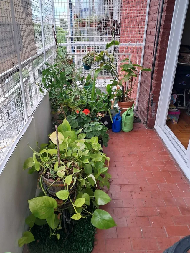 Departamento en venta en Villa Ortúzar, foto 4