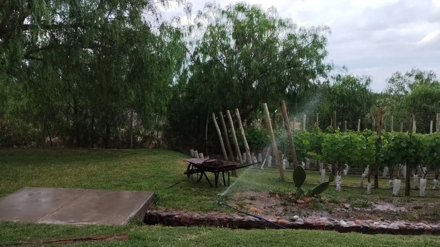 Casa en venta 2 dorm pileta viñedo perdriel lujan, foto 3