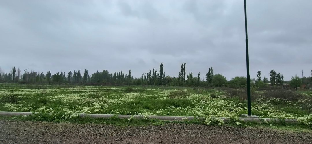 VENTA LOTE 463 M2 FERNANDEZ ORO