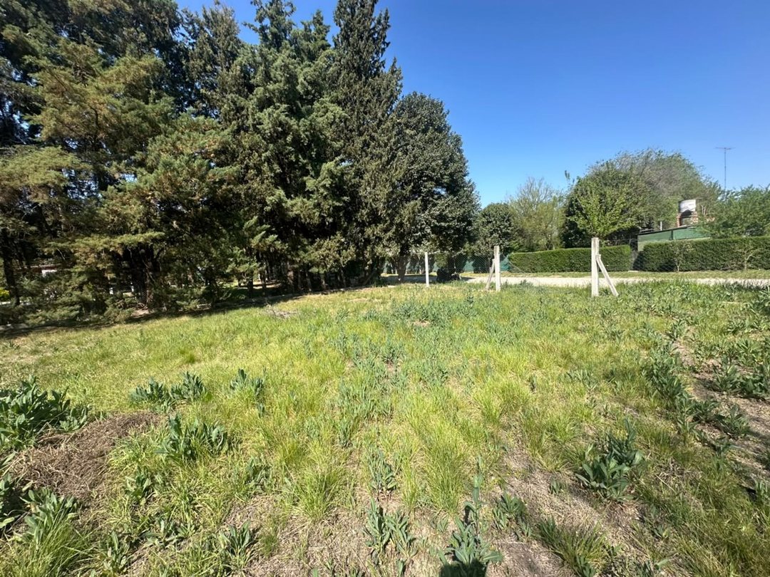 VENTA LOTE 910MTS EN ANISACATE 300MTS RUTA 5
