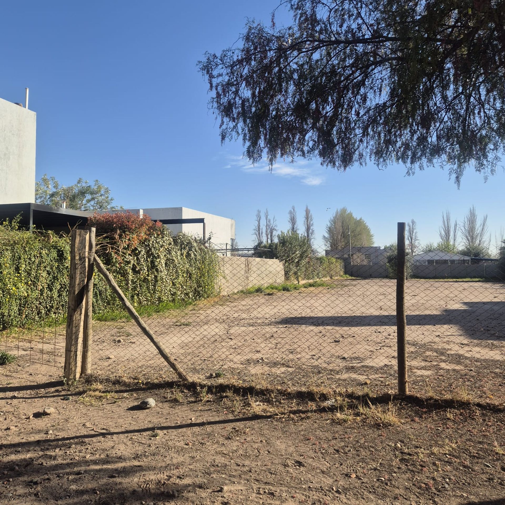 Imagen 9
