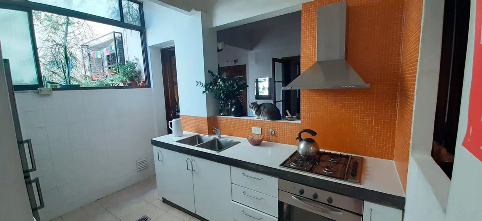Departamento de 4 ambientes en venta en Constitución, Virrey Cevallos 1100, foto 4