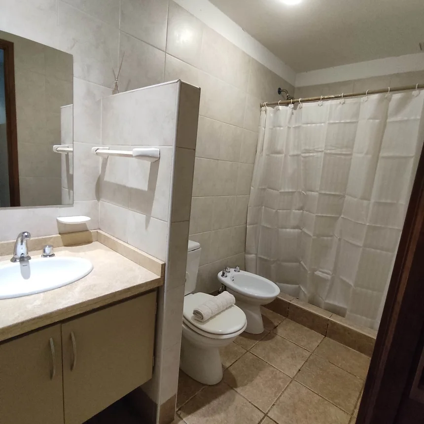 Departamento de 2 ambientes en alquiler en Mendoza, Paso de los Andes 100, foto 5