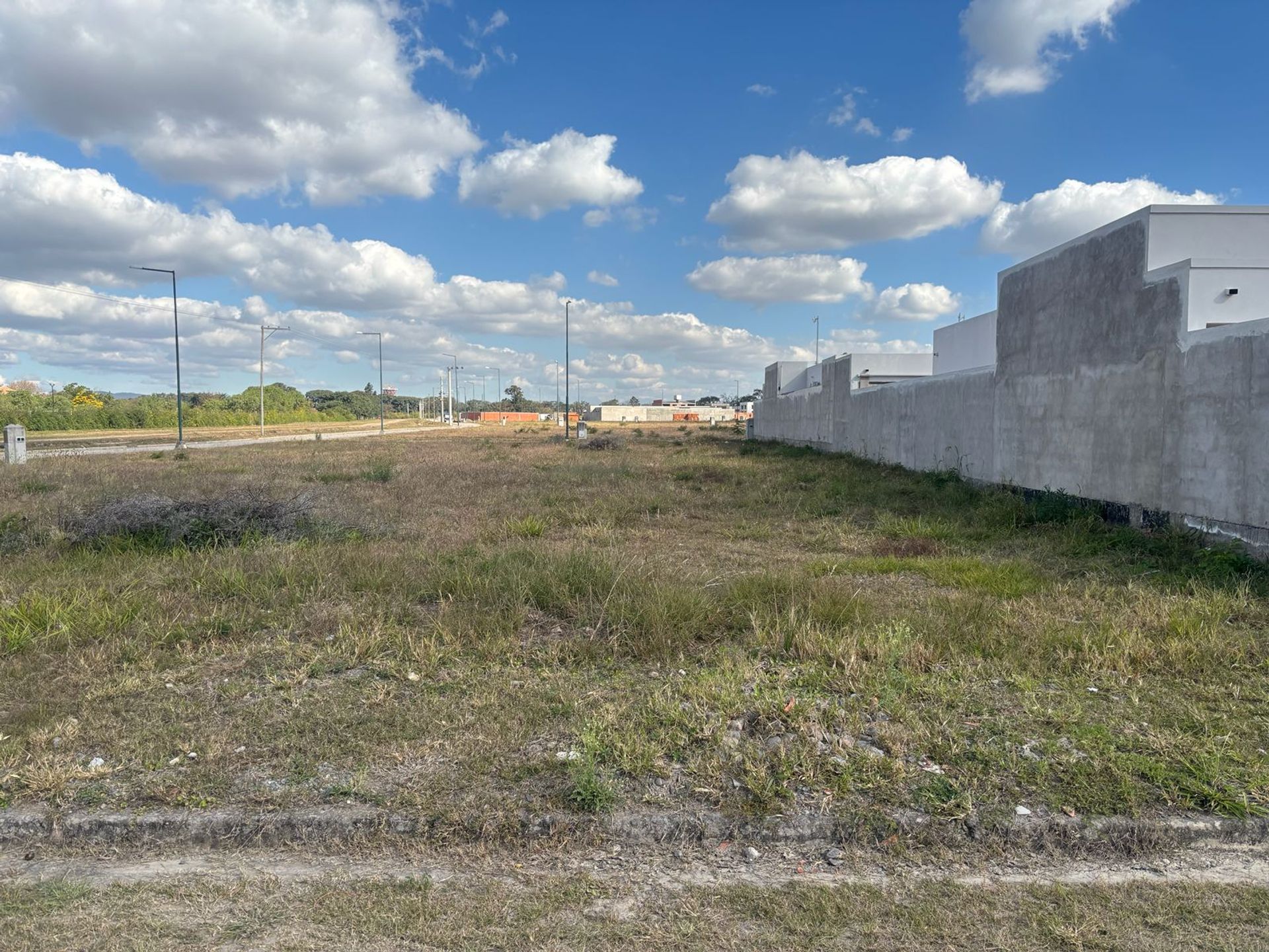 TERRENO VENTA EN VIA AURELIA ZONA AEROPUERTO - foto 7