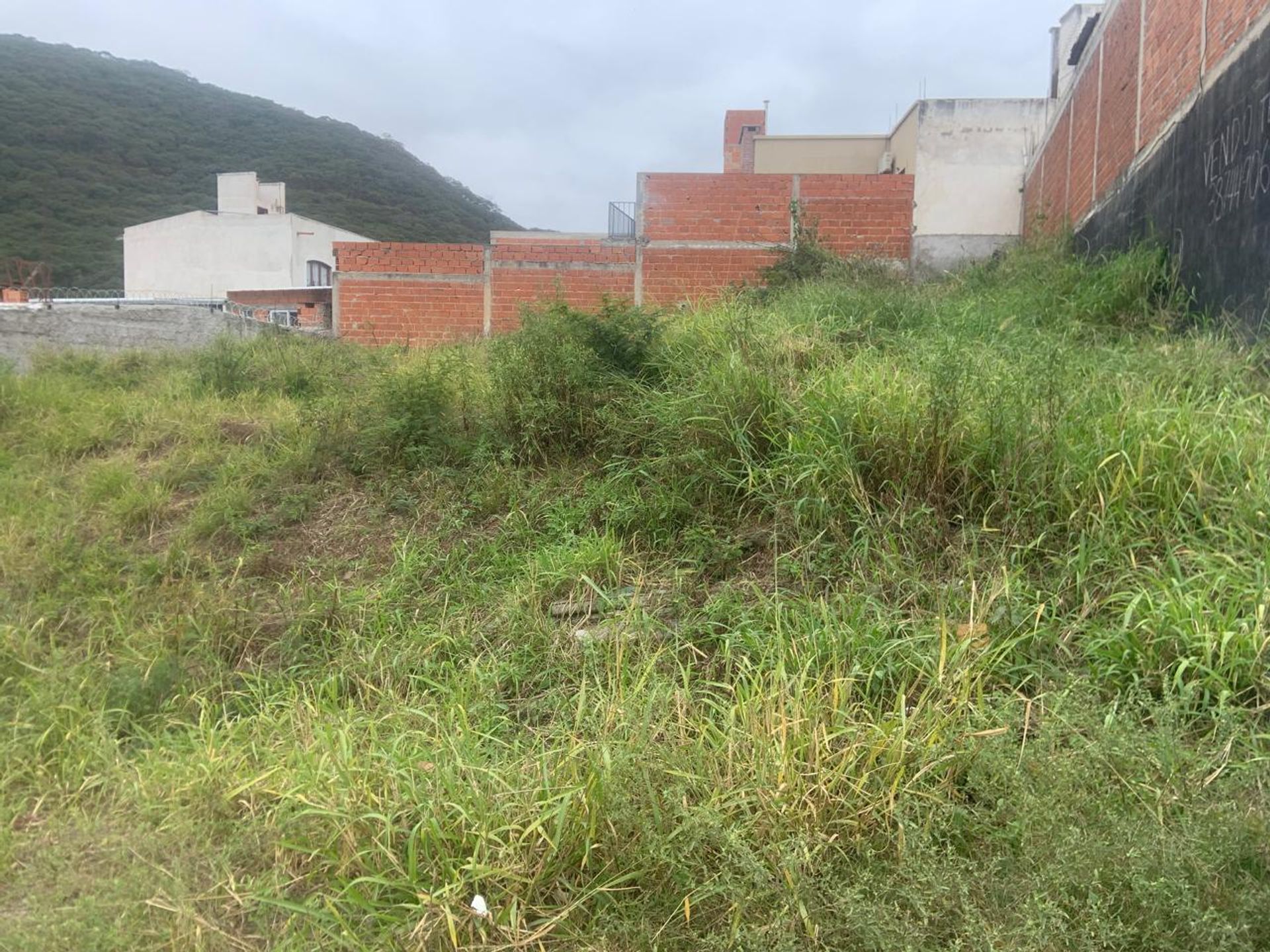TERRENO EN VENTA ALTOS DEL SAN BERNARDO 312 M2 - foto 5