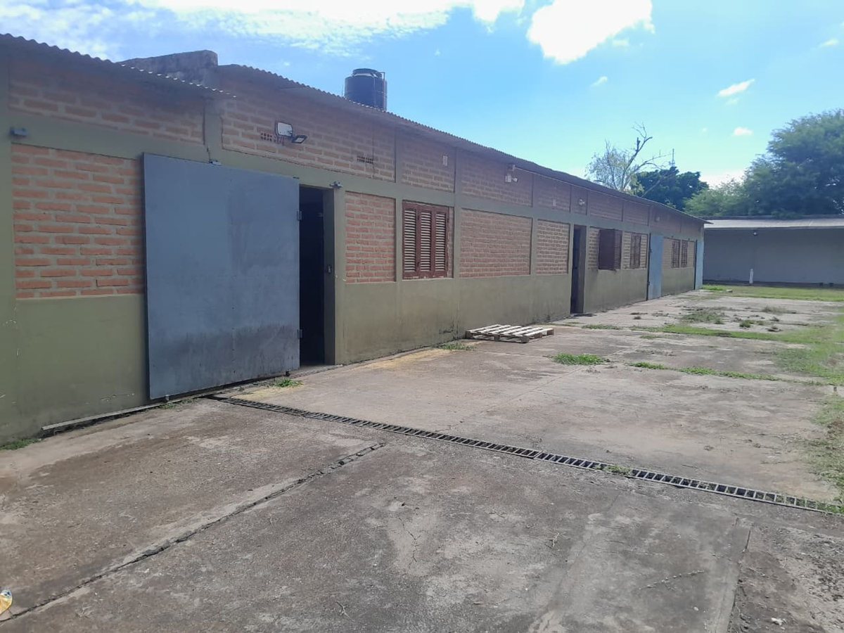 LOCAL - OFICINA COMERCIAL Y DEPOSITOS - foto 11