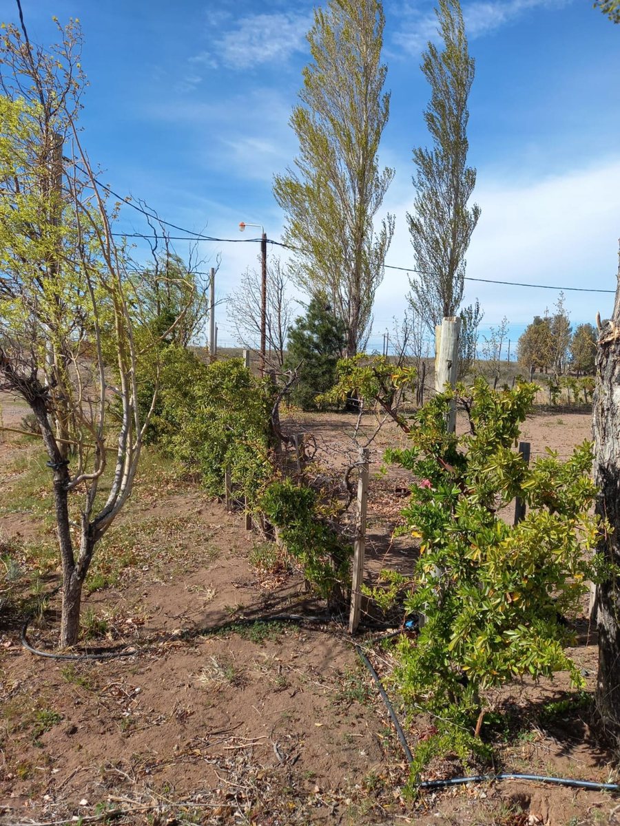 Foto 4 — VENTA LOTE VILLA EL CHOCÓN