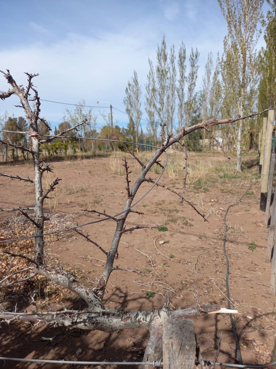 Foto 2 — VENTA LOTE VILLA EL CHOCÓN