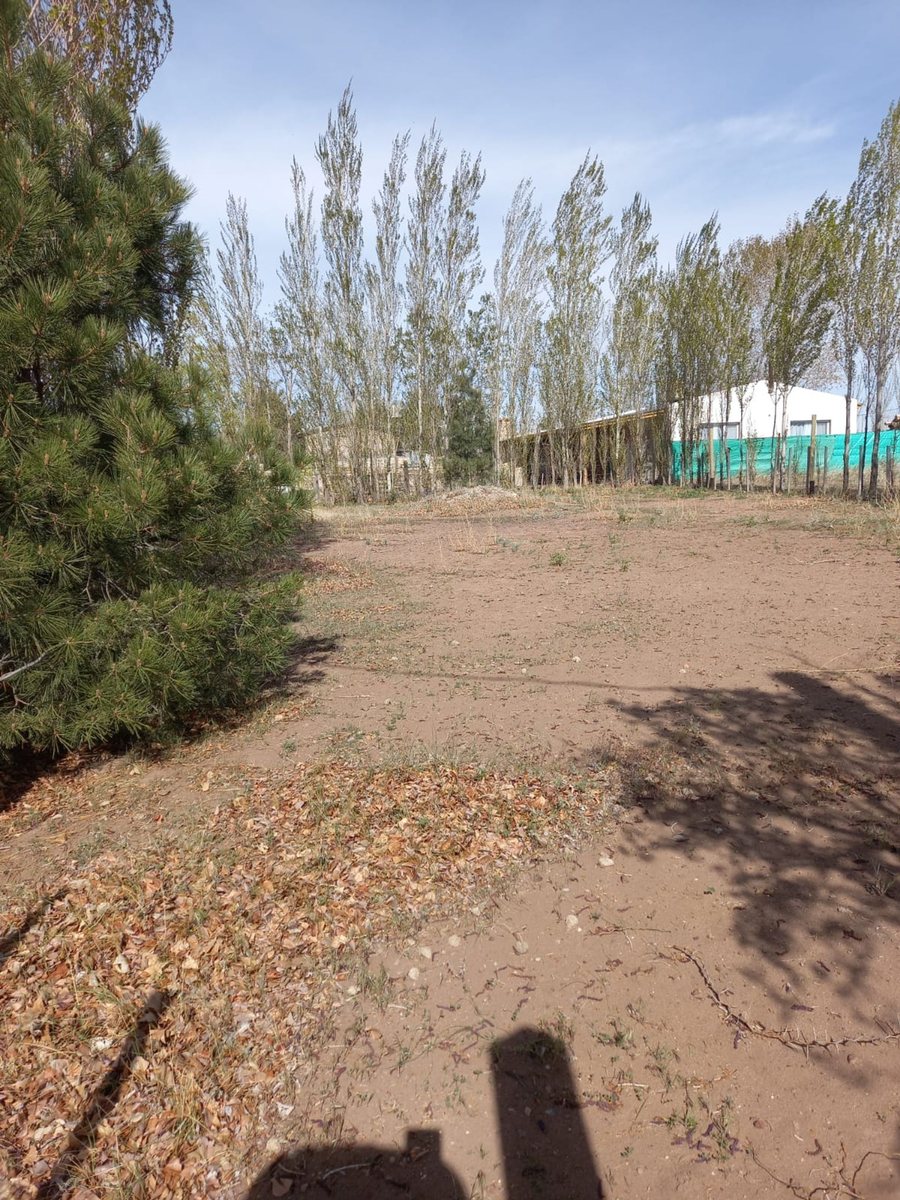 Foto 6 — VENTA LOTE VILLA EL CHOCÓN