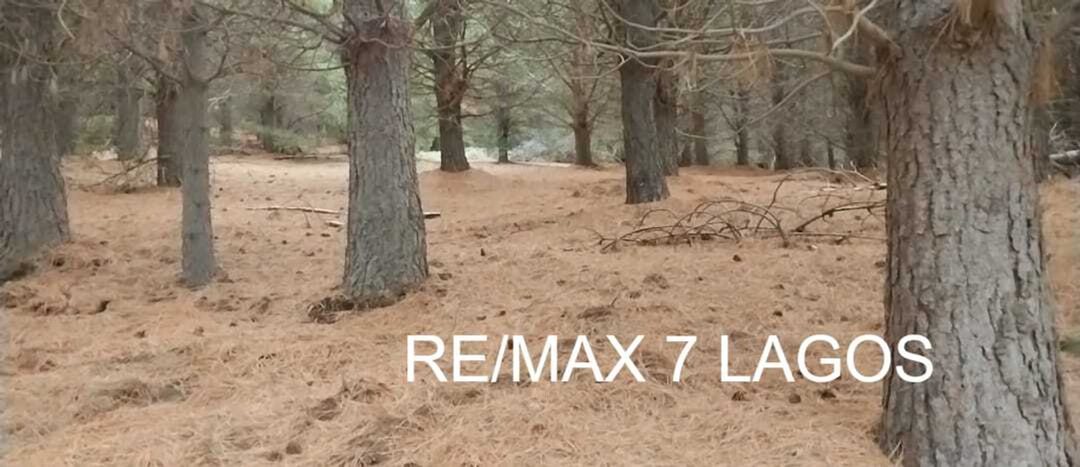 EQUIPO RE/MAX VENDE LOTE RD09 EL REMANSO 868M2.