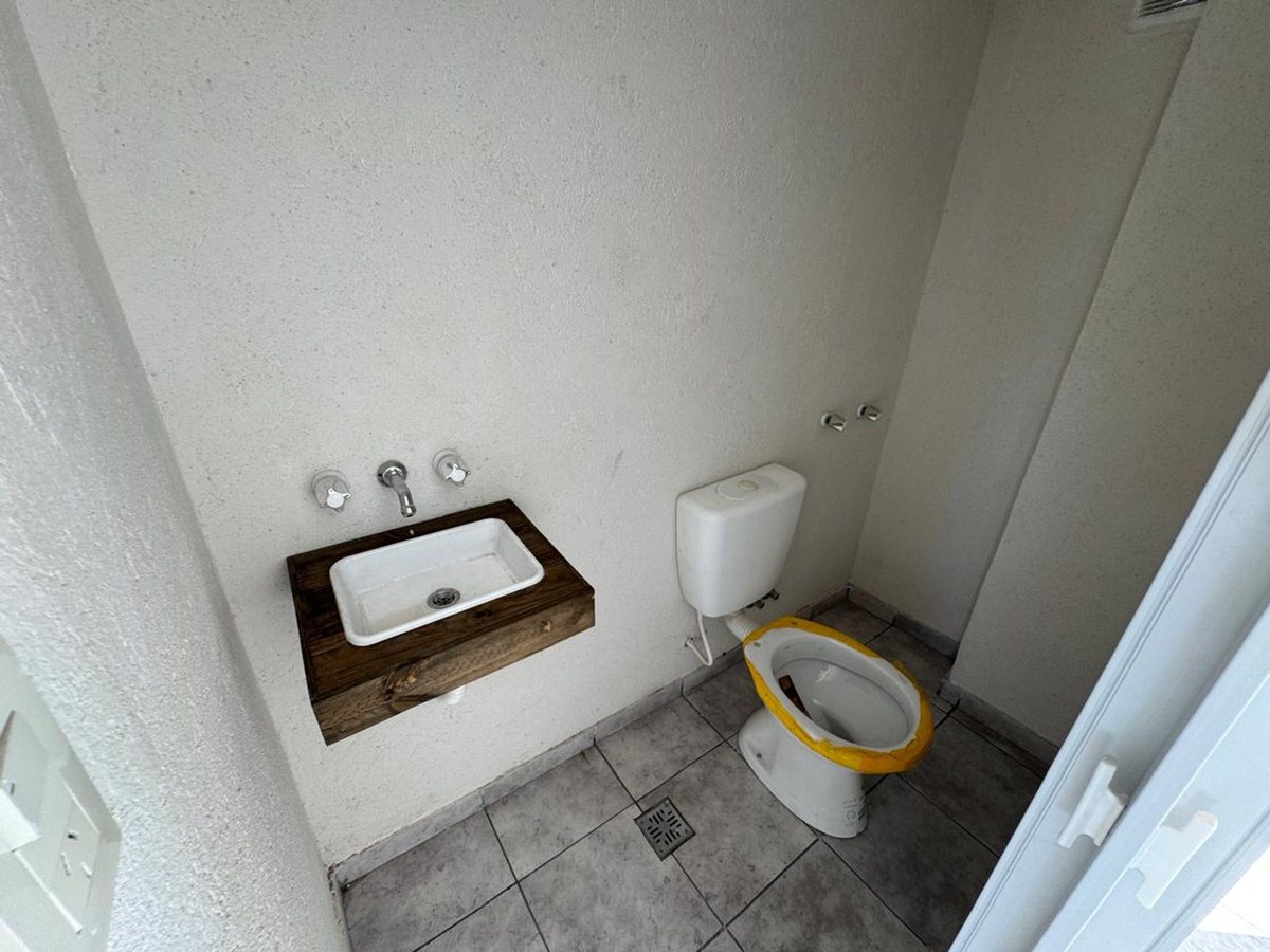 Imagen 13