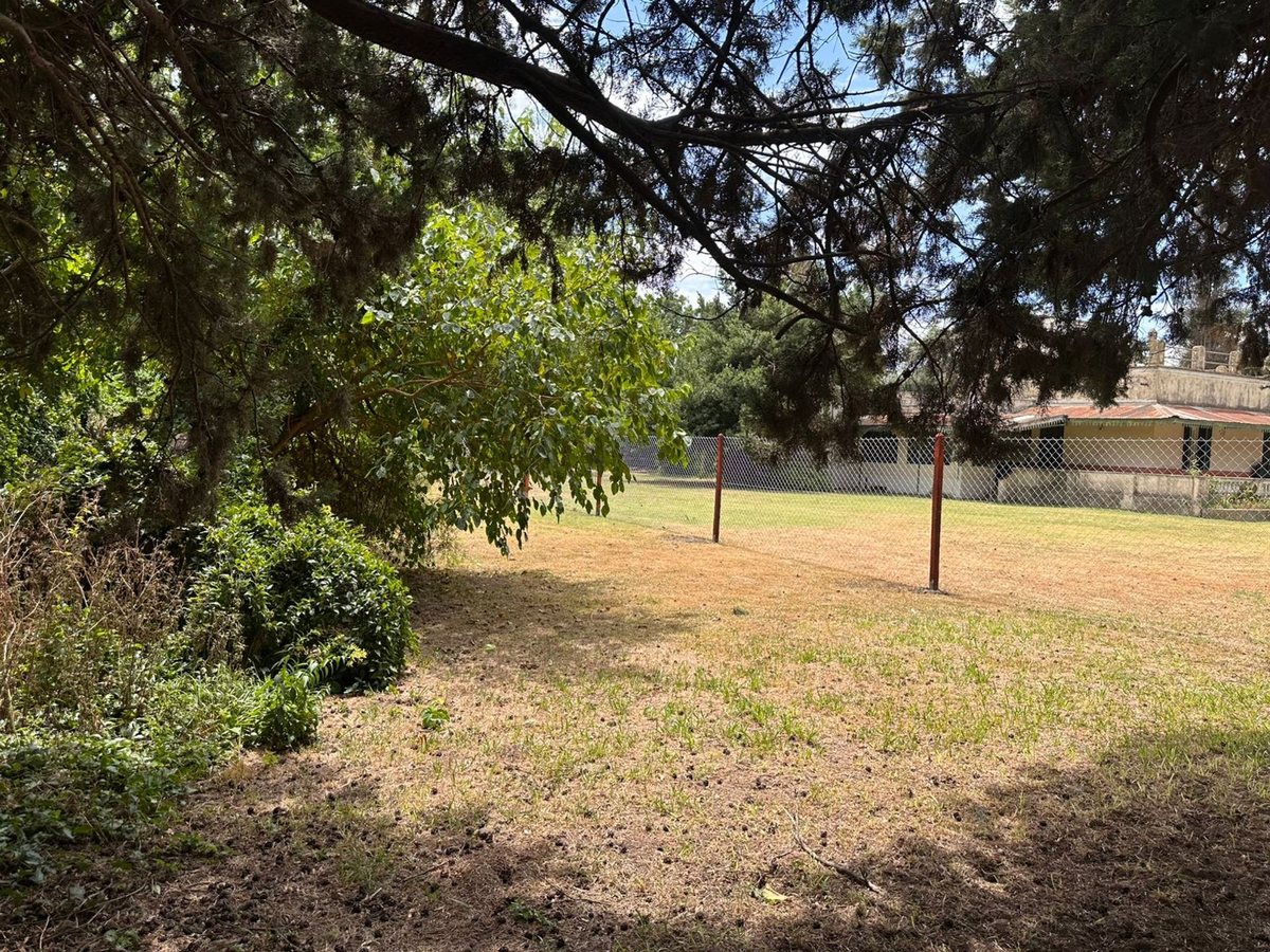 Foto 6 — VENTA TERRENO ALVEAR