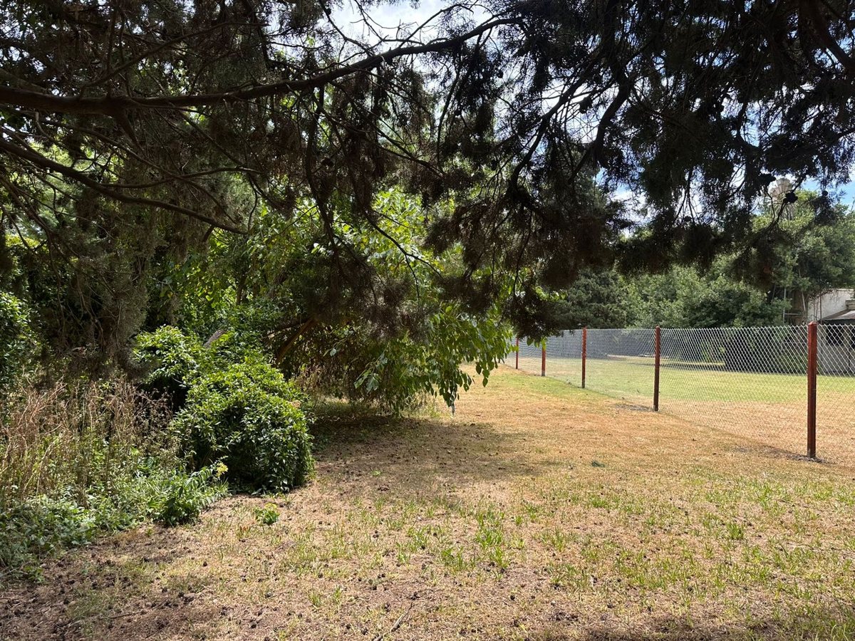 Foto 9 — VENTA TERRENO ALVEAR