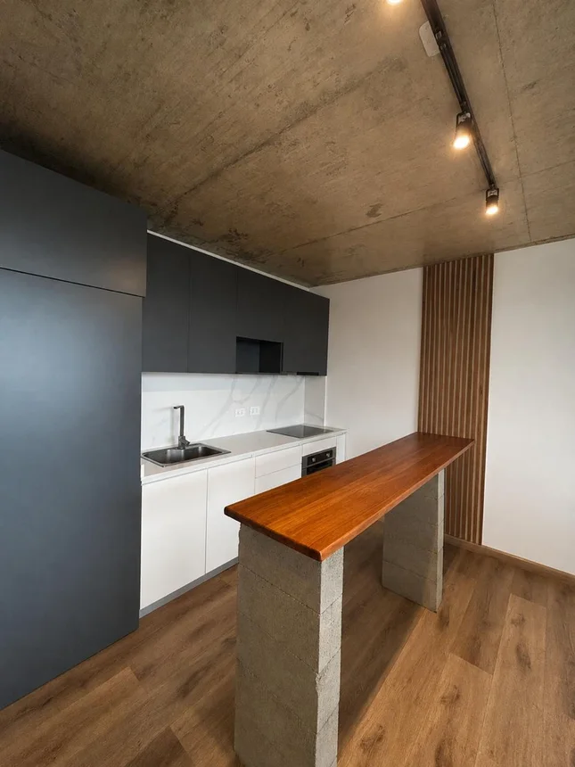 Departamento de 2 ambientes en venta en Martín Coronado, Antártida Argentina 6900, foto 3