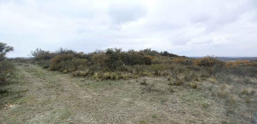 VENTA TERRENO DE UNA HECTÁREA PAMPA DEL TAMBOREO