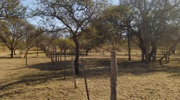 SE VENDE LOTE DE 532 M2 EN SANTA MONICA