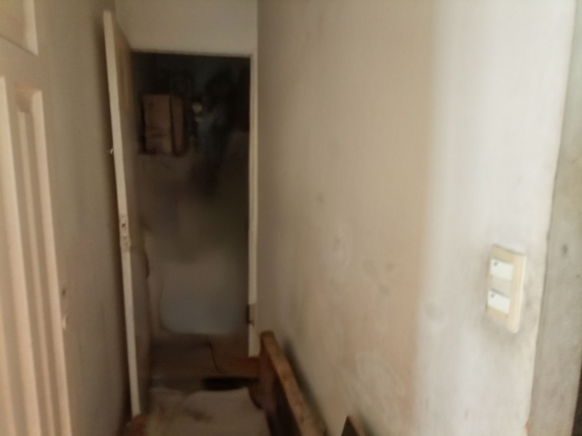 Imagen 12