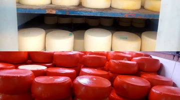 Venta de llave Distribuidora de quesos en Malvin