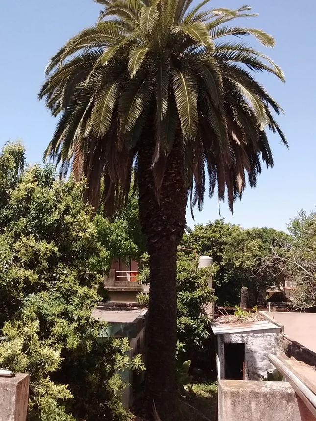 Casa en venta en Ramos Mejía, foto 2
