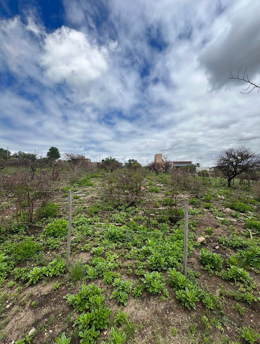 Foto 3 — VENTA TERRENO ESTANCIA VIEJA