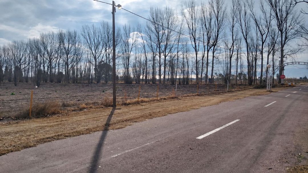 Terreno en Mendoza, General Alvear, Bowen.