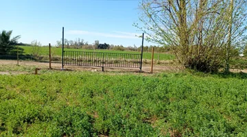 Terreno en alquiler · Las Rosas