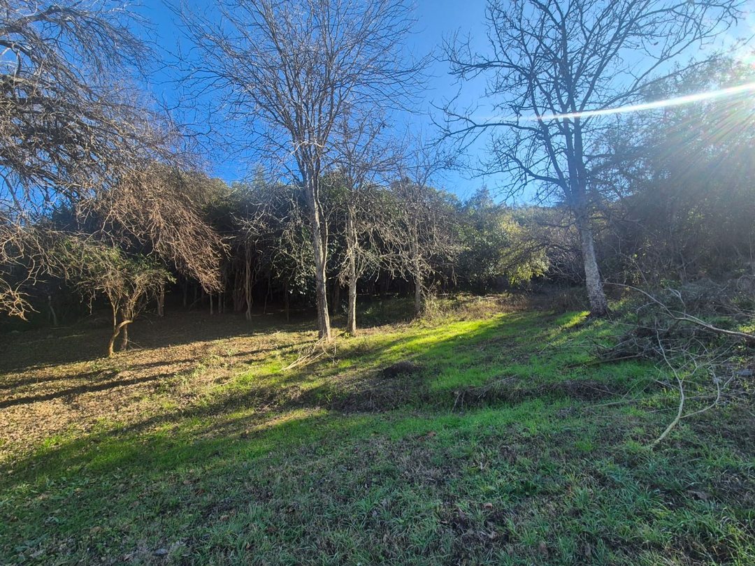 VENTA LOTE 5379M2 FINANC CORR DE BARRANCA UNQUILLO