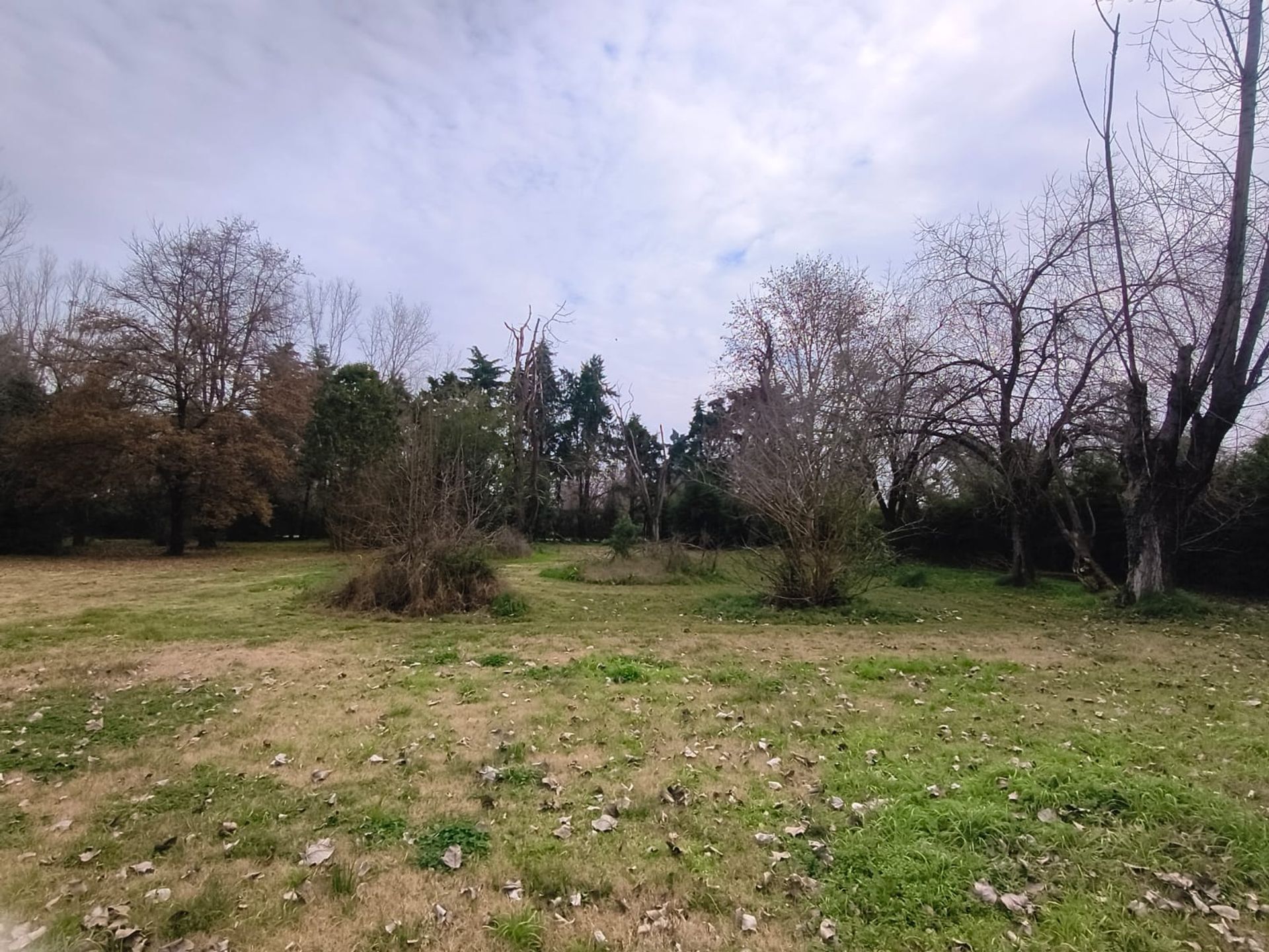 Foto 9 — VENTA LOTE 1 HECTAREA PTE DERQUI