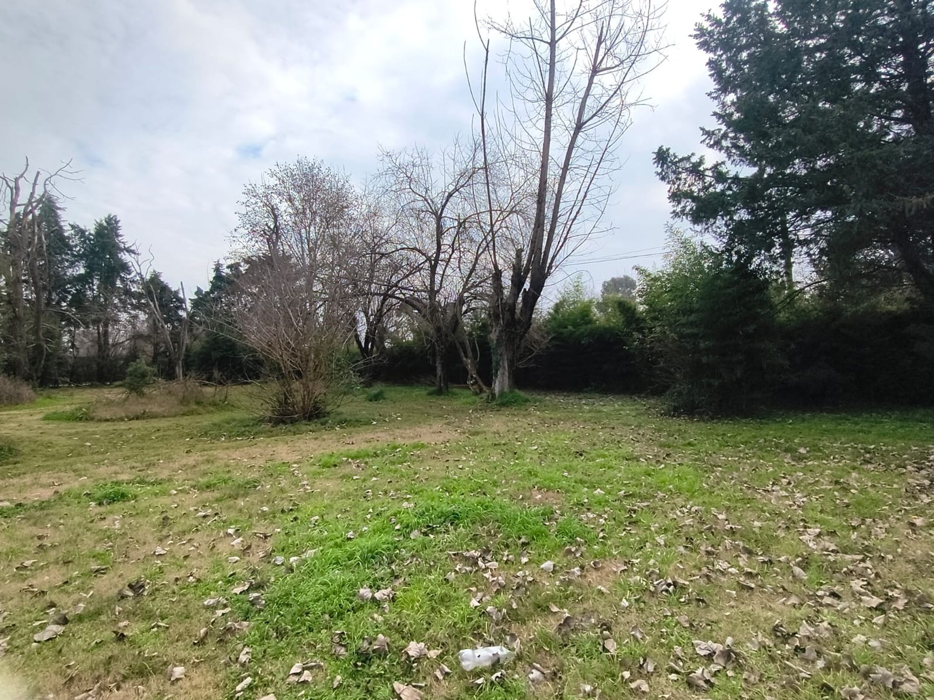 Foto 10 — VENTA LOTE 1 HECTAREA PTE DERQUI