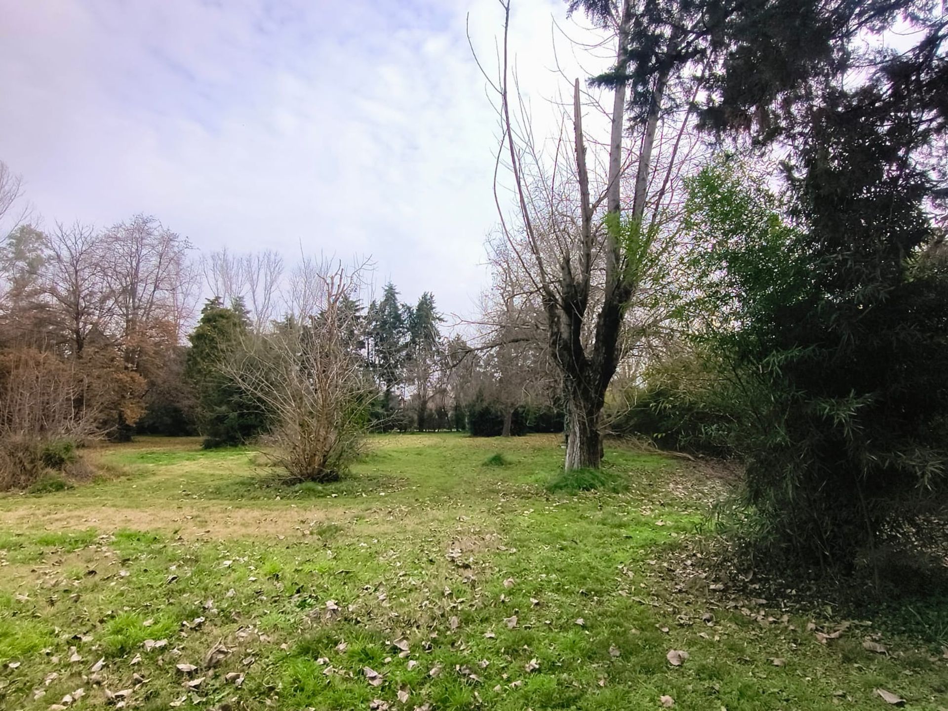 Foto 12 — VENTA LOTE 1 HECTAREA PTE DERQUI