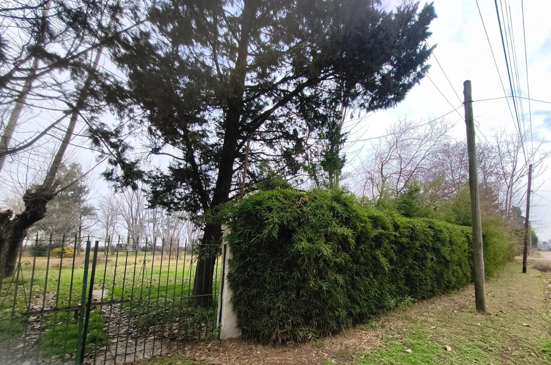 Foto 13 — VENTA LOTE 1 HECTAREA PTE DERQUI
