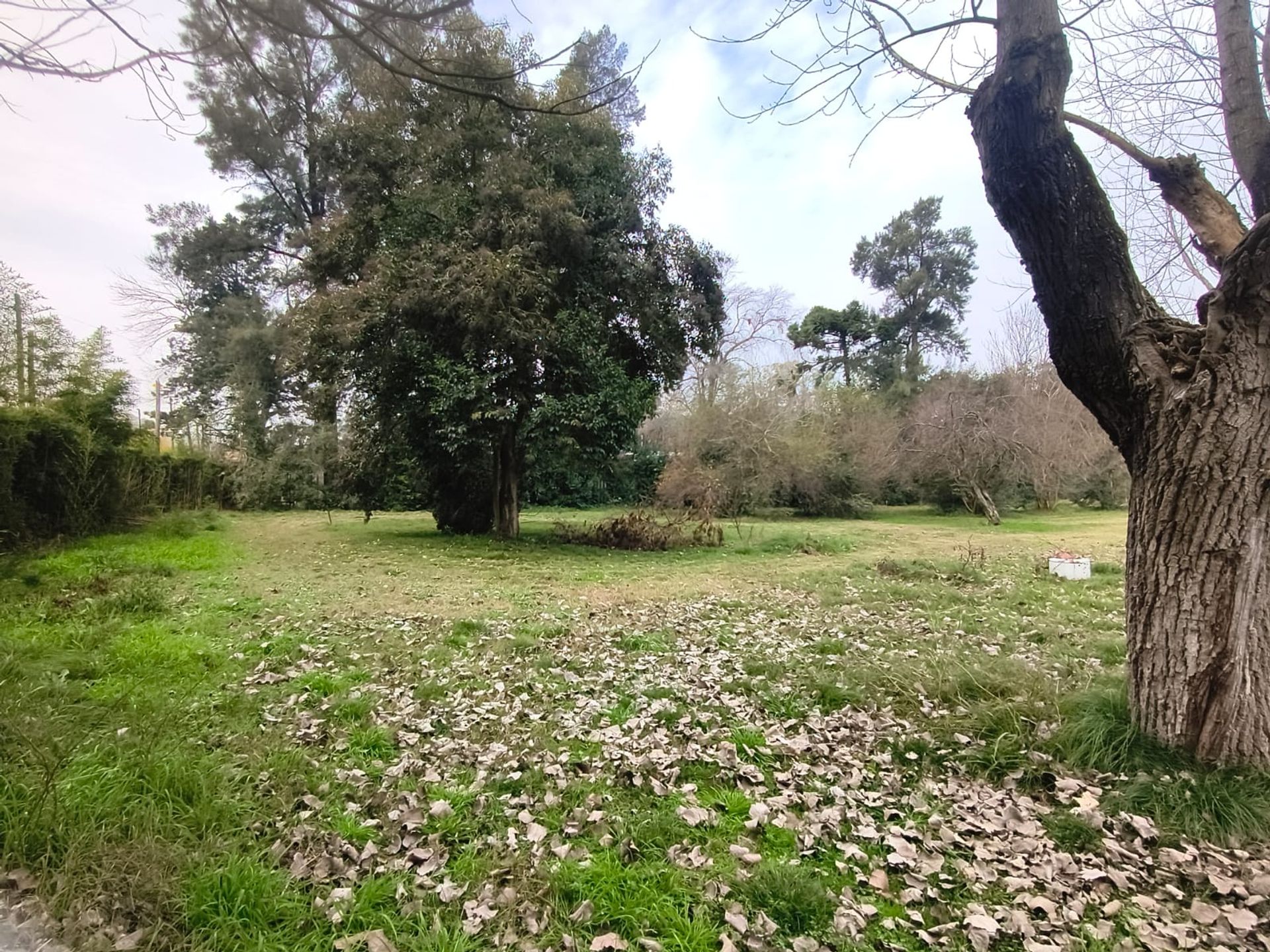 Foto 11 — VENTA LOTE 1 HECTAREA PTE DERQUI