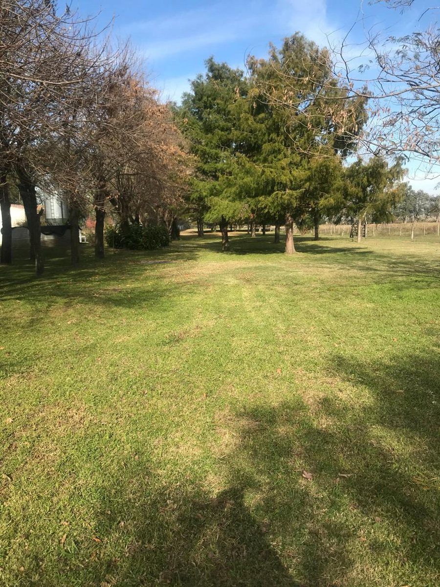 Foto 20 — CAMPO EN VENTA EN GENERAL LAS HERAS