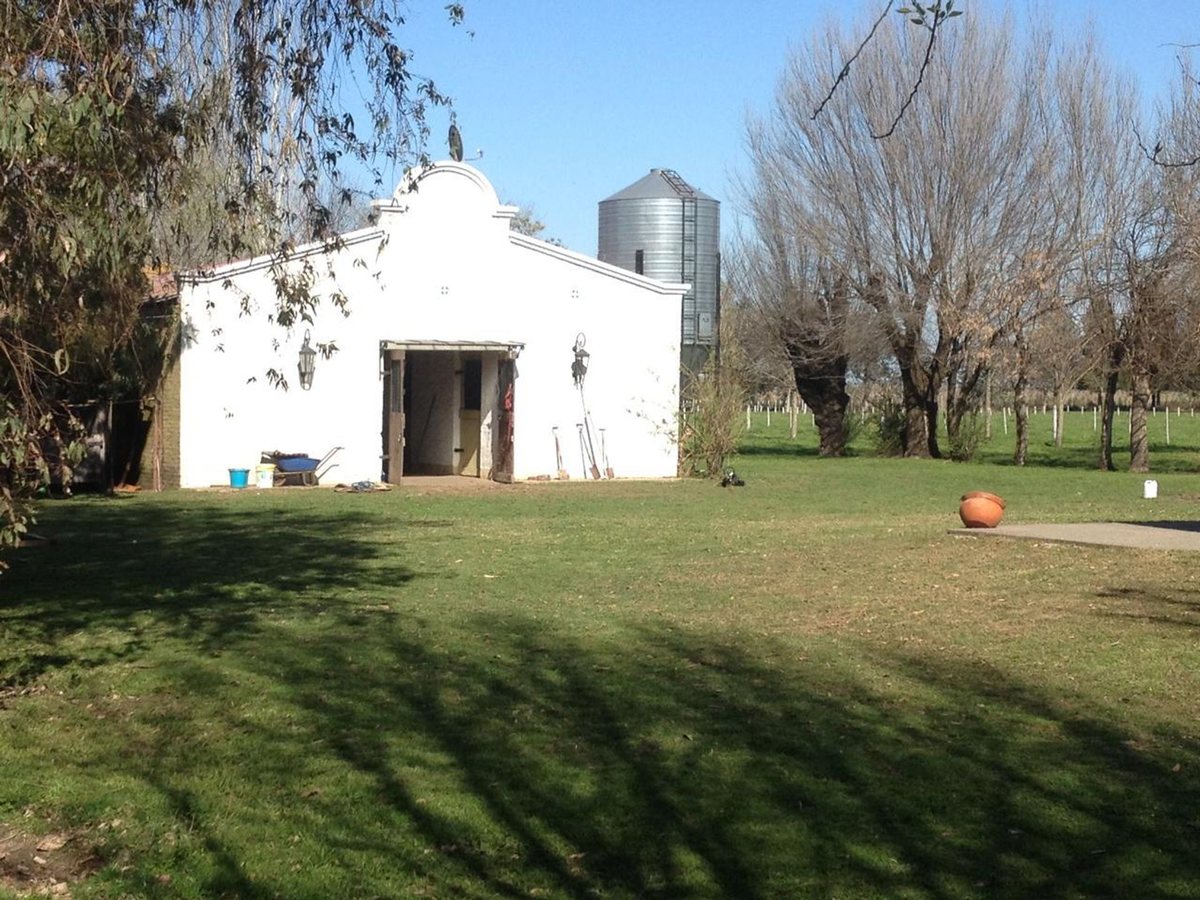 Foto 16 — CAMPO EN VENTA EN GENERAL LAS HERAS