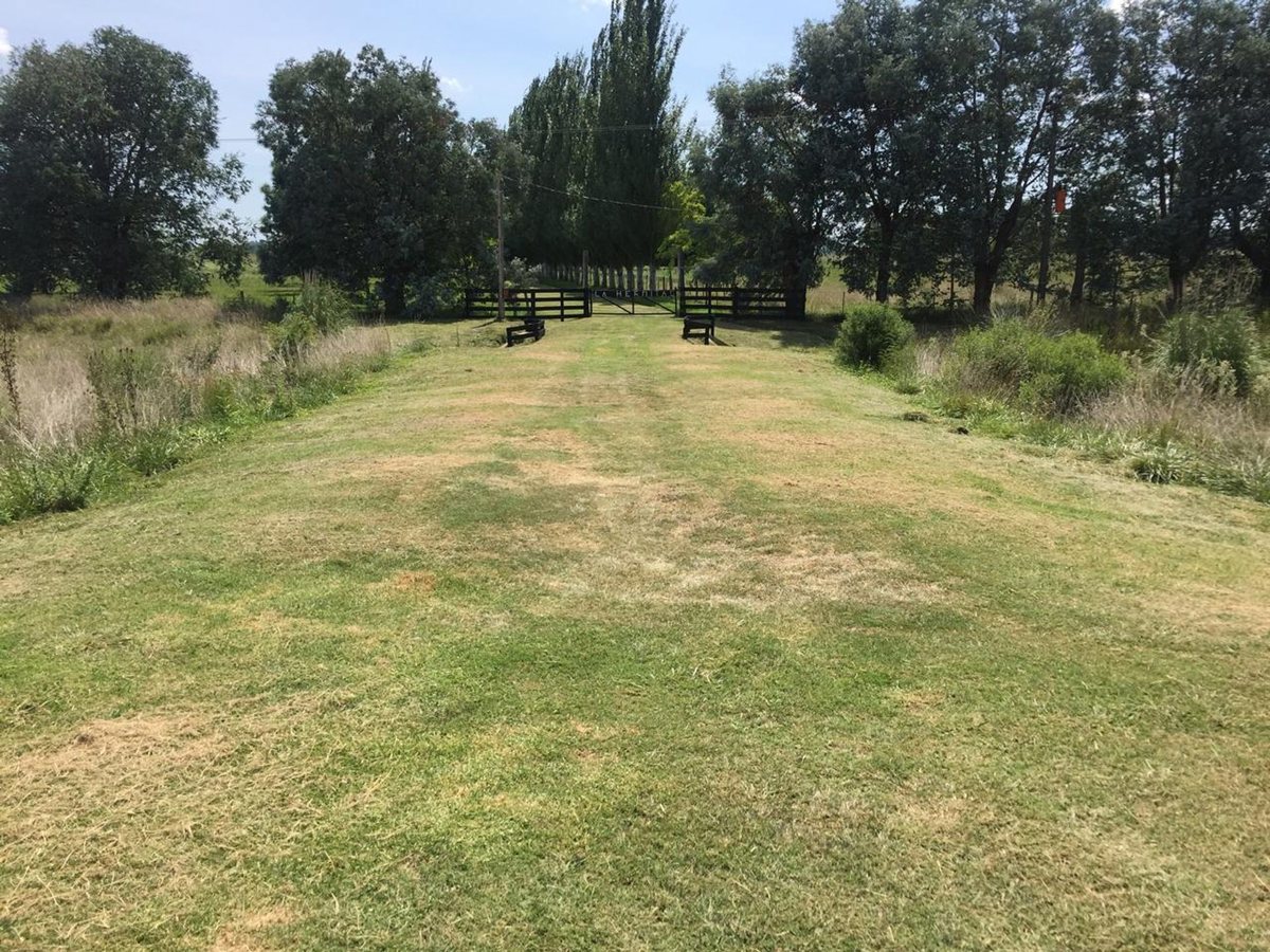 Foto 11 — CAMPO EN VENTA EN GENERAL LAS HERAS