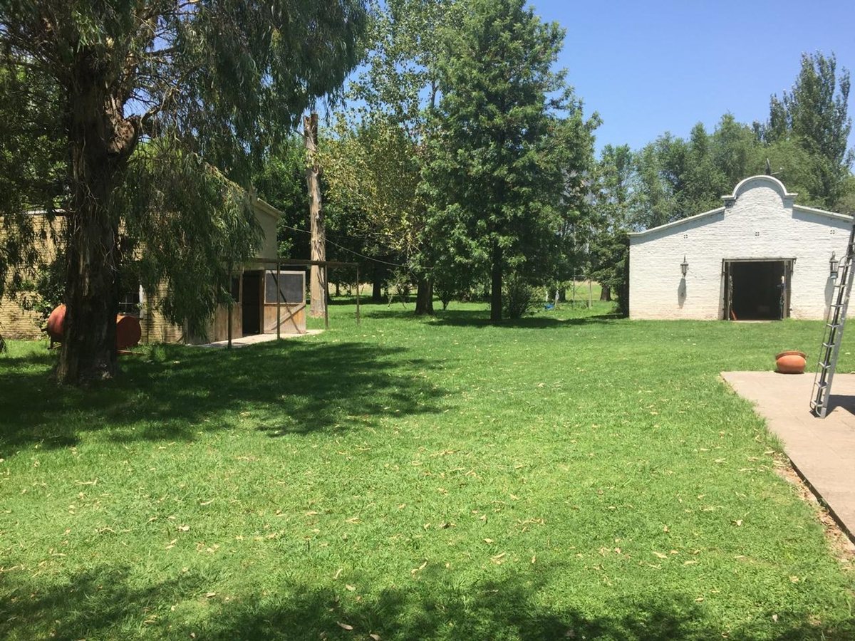 Foto 17 — CAMPO EN VENTA EN GENERAL LAS HERAS