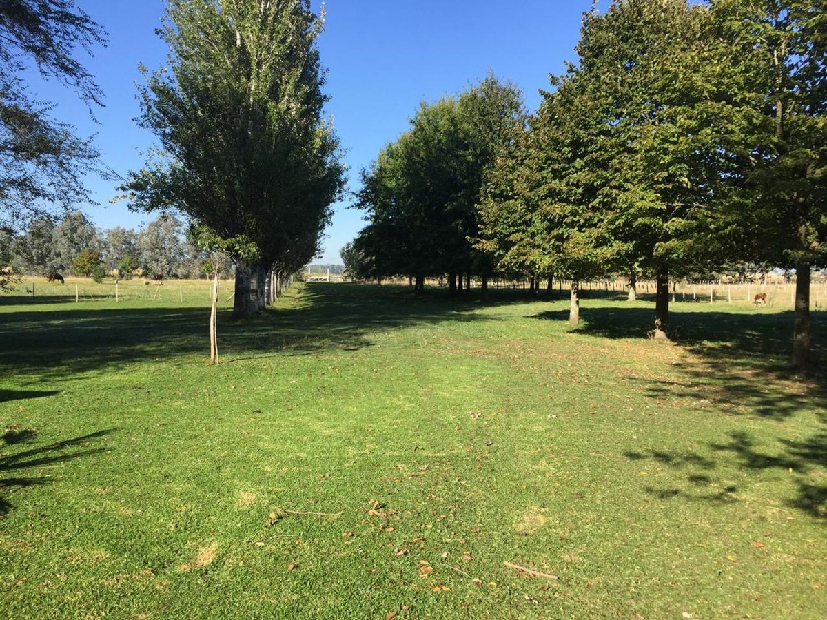 Foto 13 — CAMPO EN VENTA EN GENERAL LAS HERAS