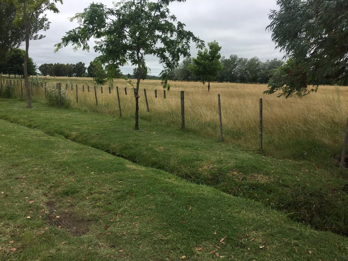 Foto 15 — CAMPO EN VENTA EN GENERAL LAS HERAS