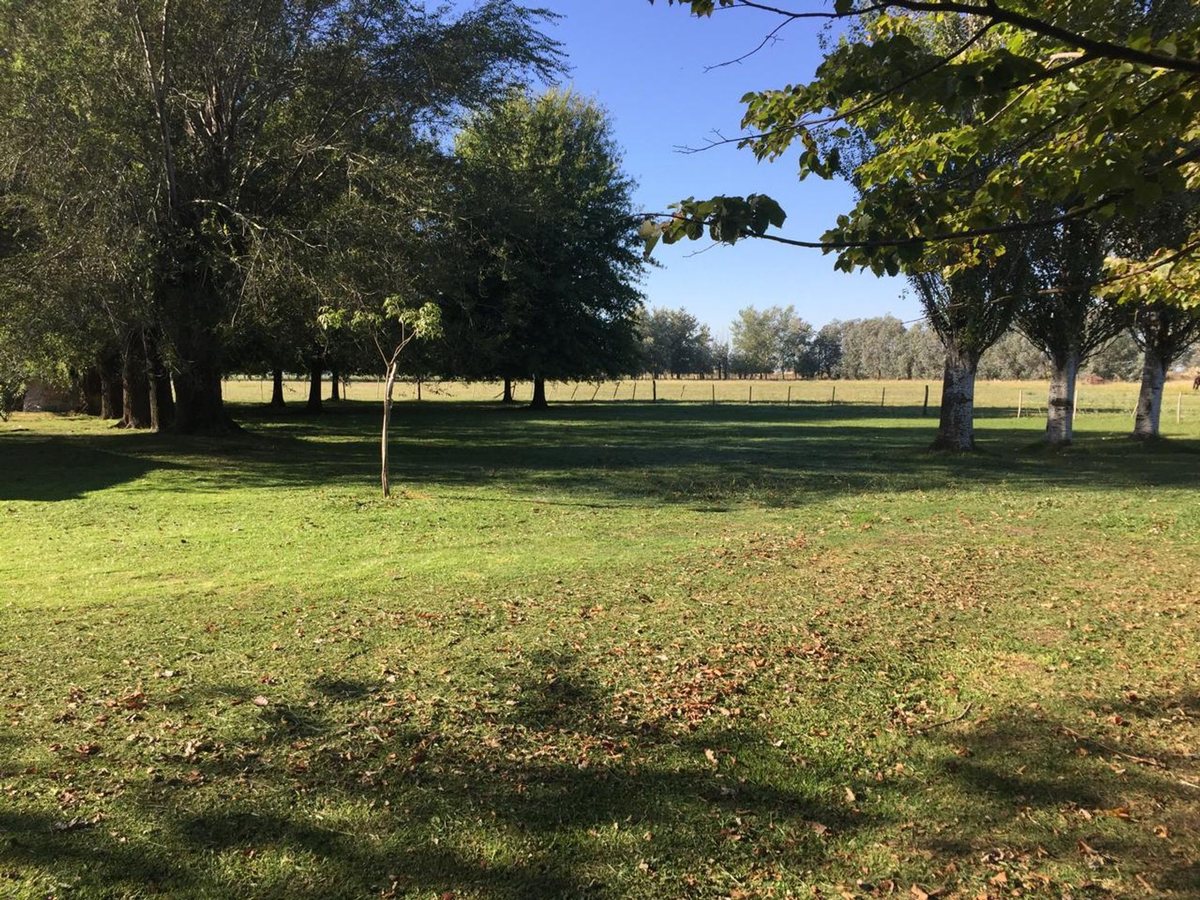 Foto 18 — CAMPO EN VENTA EN GENERAL LAS HERAS