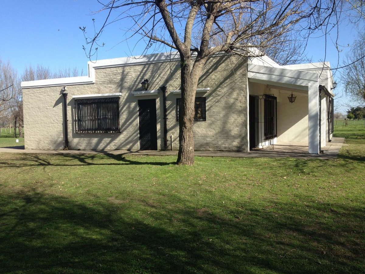 Foto 3 — CAMPO EN VENTA EN GENERAL LAS HERAS