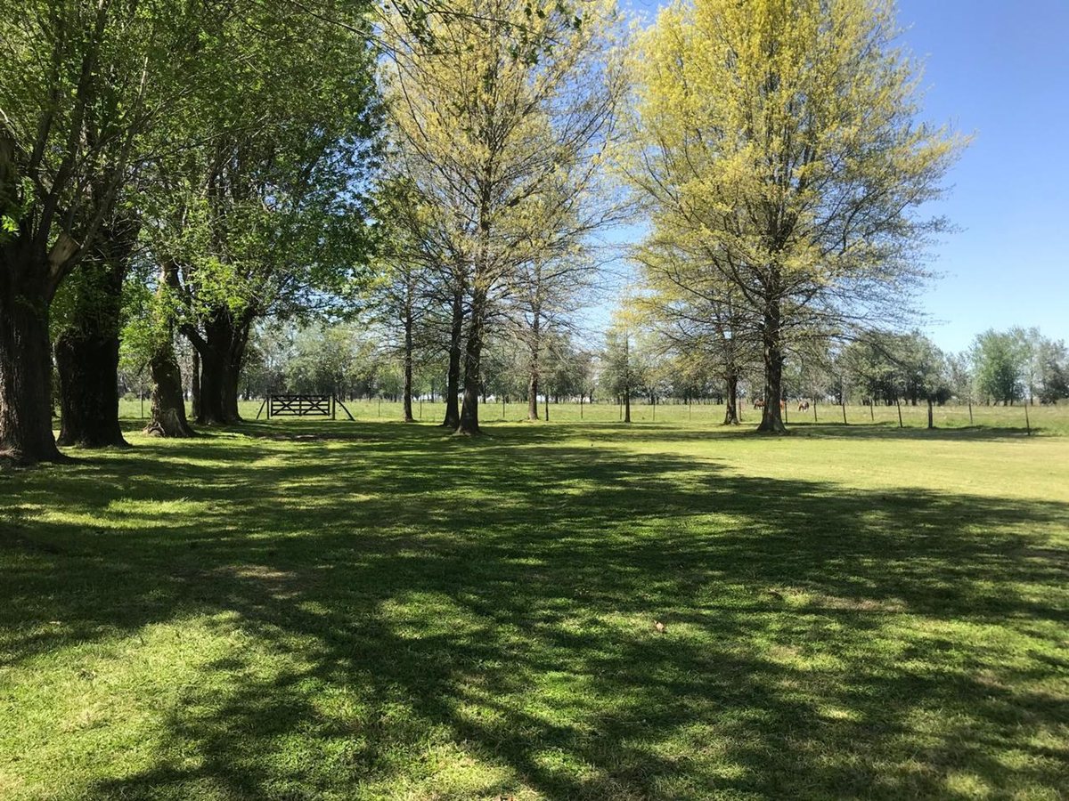 Foto 21 — CAMPO EN VENTA EN GENERAL LAS HERAS